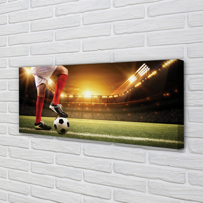 Quadro em tela Pernas do estádio de futebol