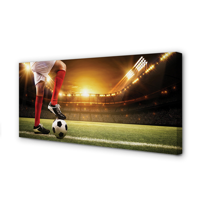 Quadro em tela Pernas do estádio de futebol