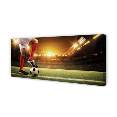 Quadro em tela Pernas do estádio de futebol