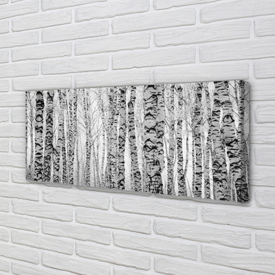 Pintura em tela Bétulas pretas e brancas