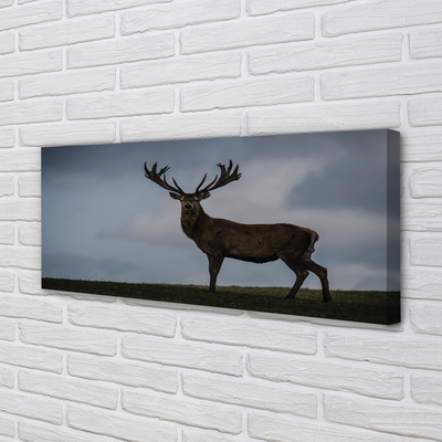 Quadro em tela Noite dos Veados