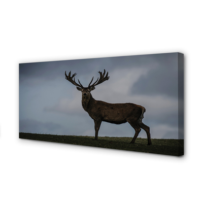 Quadro em tela Noite dos Veados