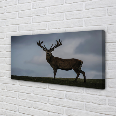 Quadro em tela Noite dos Veados