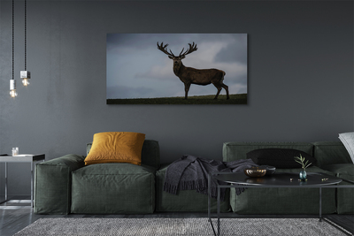 Quadro em tela Noite dos Veados