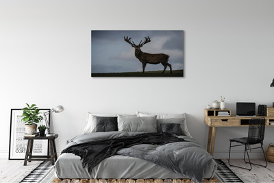 Quadro em tela Noite dos Veados