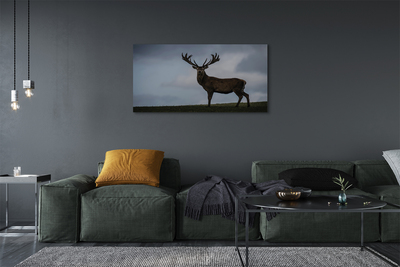 Quadro em tela Noite dos Veados