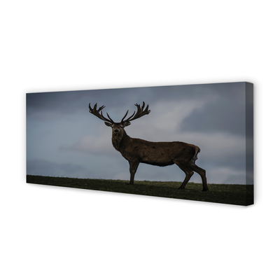 Quadro em tela Noite dos Veados