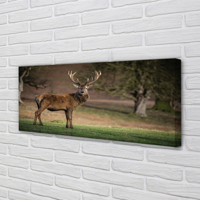 Pintura em tela Veado no campo