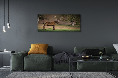 Pintura em tela Veado no campo