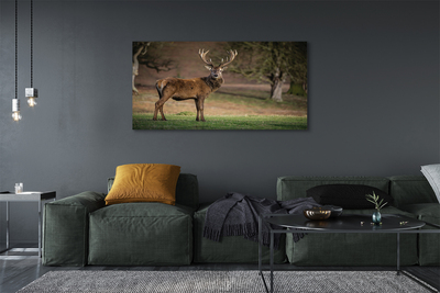 Pintura em tela Veado no campo