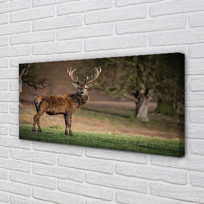 Pintura em tela Veado no campo