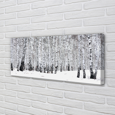 Quadro em tela Árvores, neve de inverno, bétulas