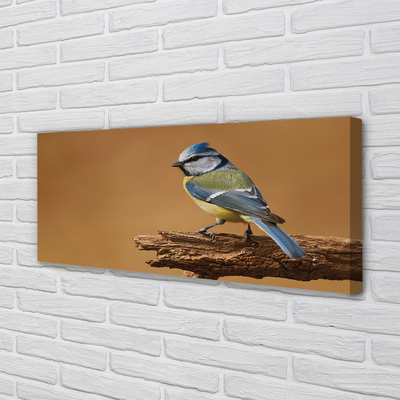 Quadro em tela Pássaro