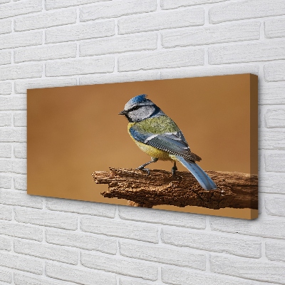 Quadro em tela Pássaro