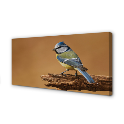 Quadro em tela Pássaro