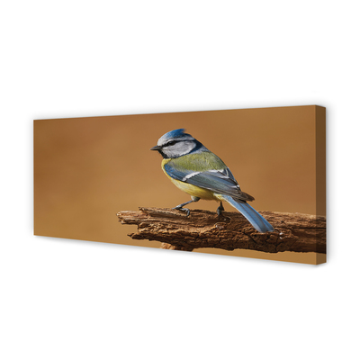 Quadro em tela Pássaro