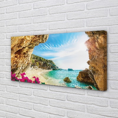 Quadro em tela Flores dos penhascos da costa da Grécia