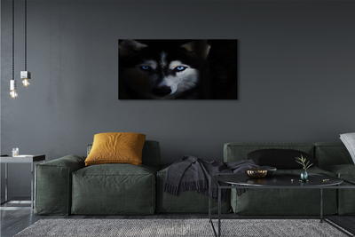 Pintura em tela Olhos de lobo