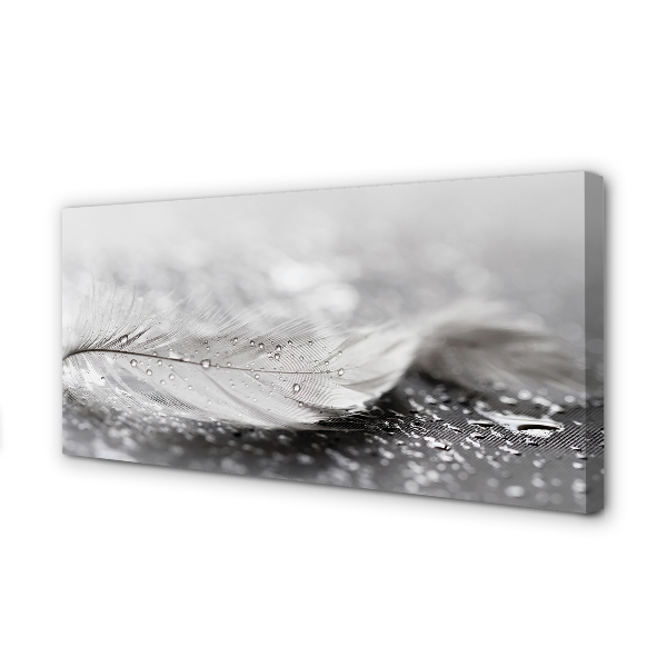 Pintura em tela Macro de gotas de penas