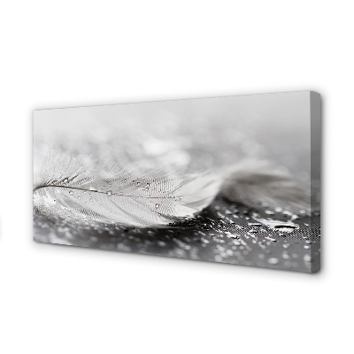 Pintura em tela Macro de gotas de penas