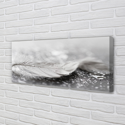 Pintura em tela Macro de gotas de penas