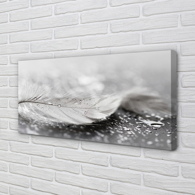 Pintura em tela Macro de gotas de penas