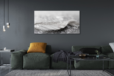 Pintura em tela Macro de gotas de penas