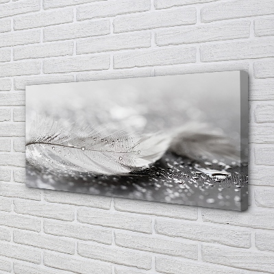 Pintura em tela Macro de gotas de penas