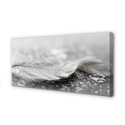 Pintura em tela Macro de gotas de penas