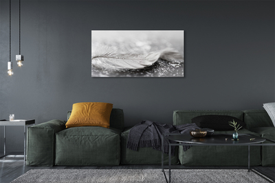 Pintura em tela Macro de gotas de penas