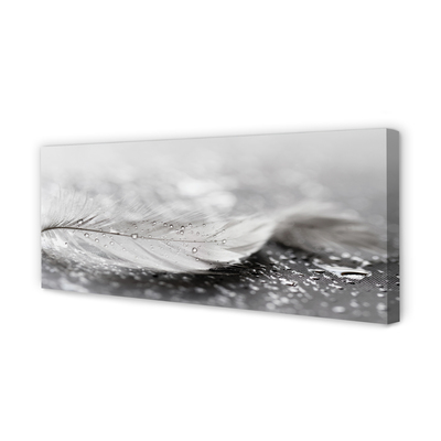 Pintura em tela Macro de gotas de penas