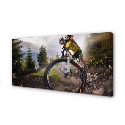 Quadro em tela Mountain Cloud Bike