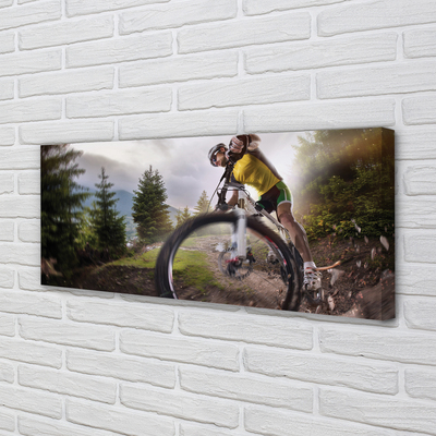Quadro em tela Mountain Cloud Bike