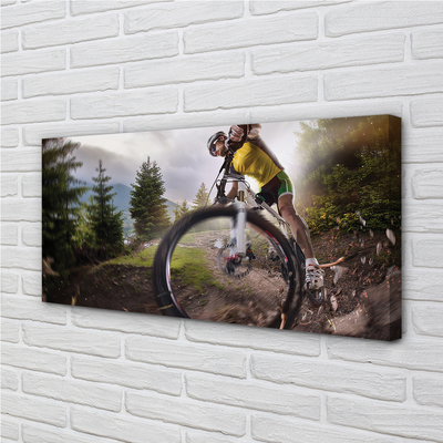 Quadro em tela Mountain Cloud Bike