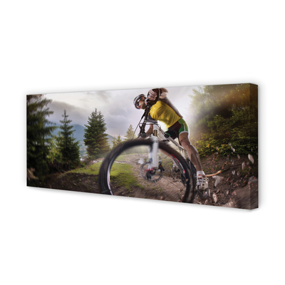 Quadro em tela Mountain Cloud Bike