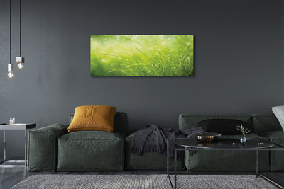 Pintura em tela Gotas de orvalho da grama