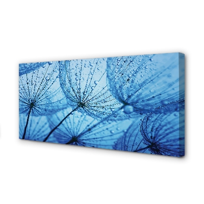 Quadro em tela Macro de gotas de dente-de-leão