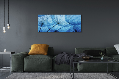 Quadro em tela Macro de gotas de dente-de-leão