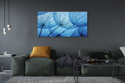 Quadro em tela Macro de gotas de dente-de-leão