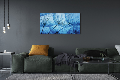 Quadro em tela Macro de gotas de dente-de-leão