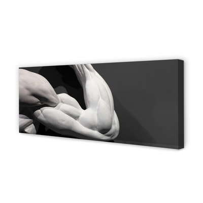 Quadro em tela Músculos pretos e brancos