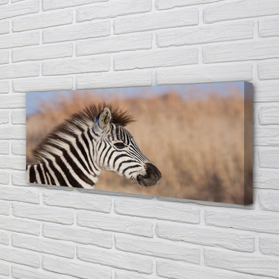 Quadro em tela Costelas