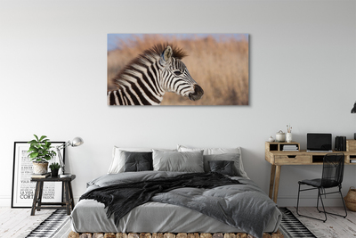 Quadro em tela Costelas