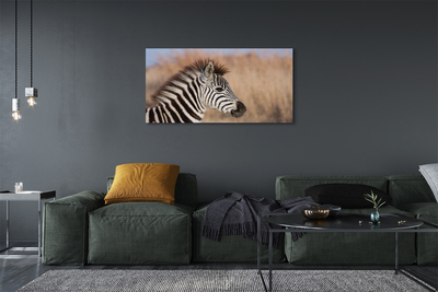 Quadro em tela Costelas