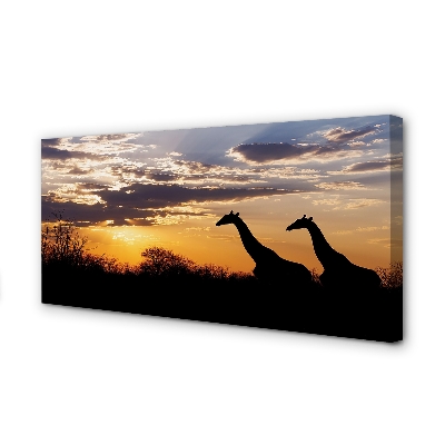 Pintura em tela Girafas árvores nuvens