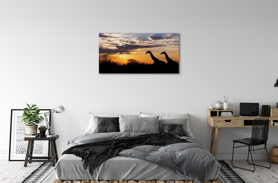 Pintura em tela Girafas árvores nuvens