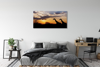 Pintura em tela Girafas árvores nuvens