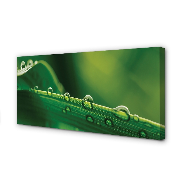 Pintura em tela Gotas de grama macro