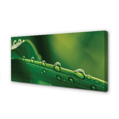 Pintura em tela Gotas de grama macro