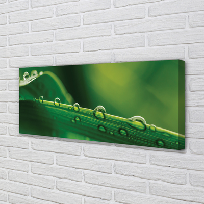Pintura em tela Gotas de grama macro